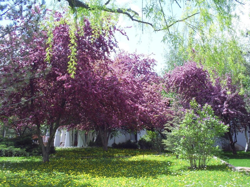 Agacli Hotel Aksaray Buitenkant foto